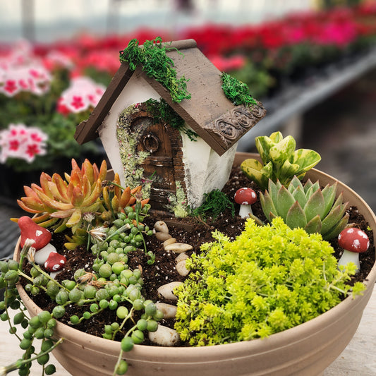 Fairy Succulent Garden Paint & Potting Class - 1PM JULY 13, 2025